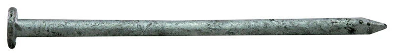 celebrationhardware3836806