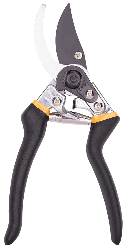 celebrationhardware3887097