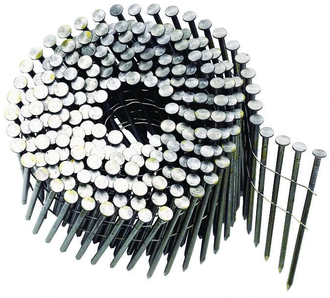 celebrationhardware4499070