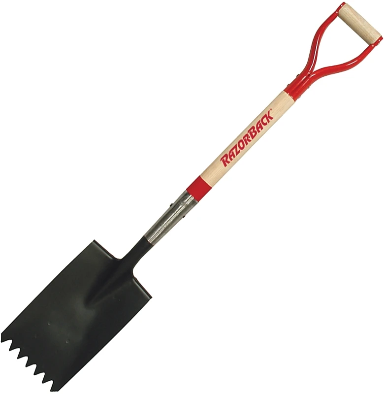 celebrationhardware4923046