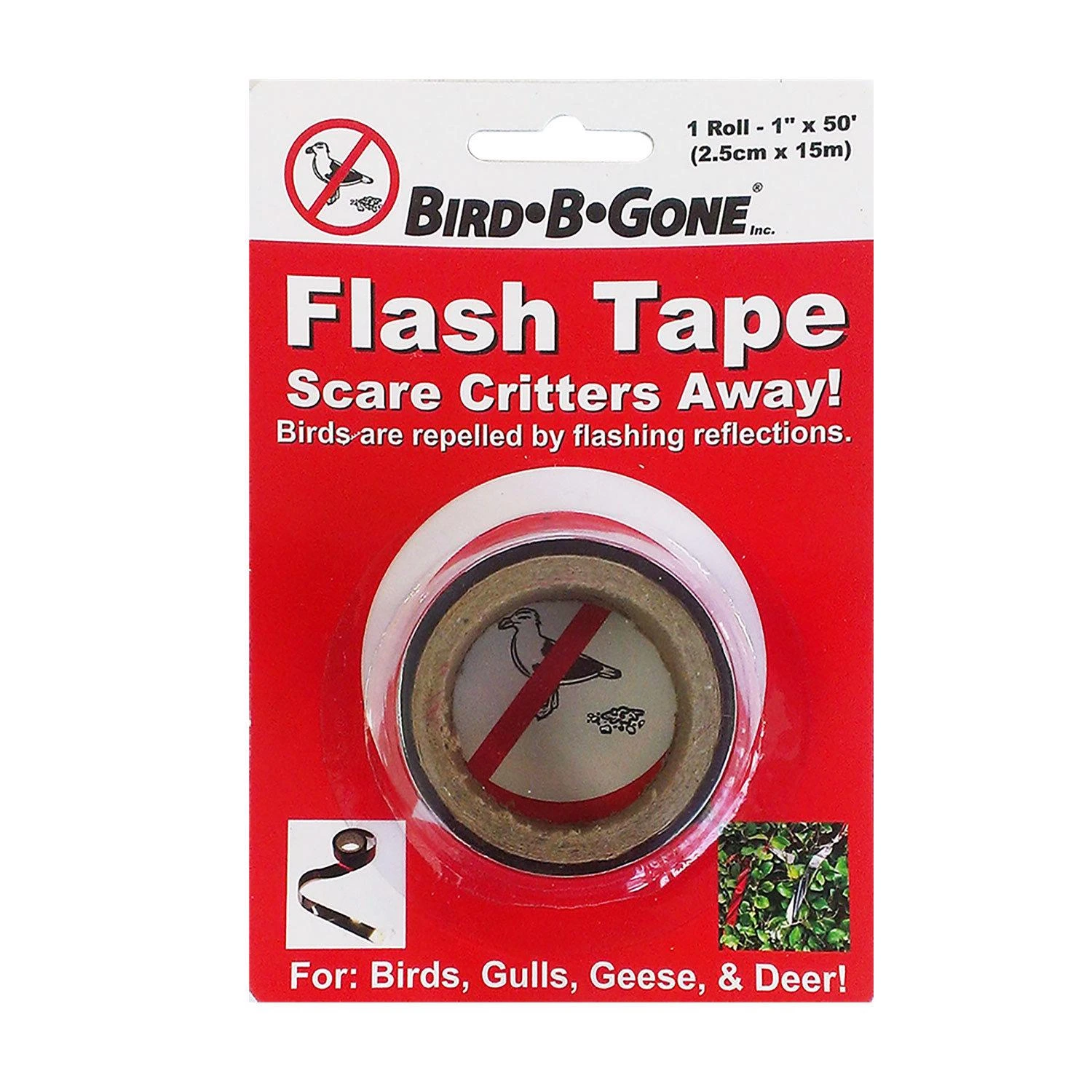 celebrationhardware4936337