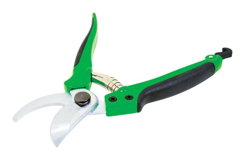 celebrationhardware4965975