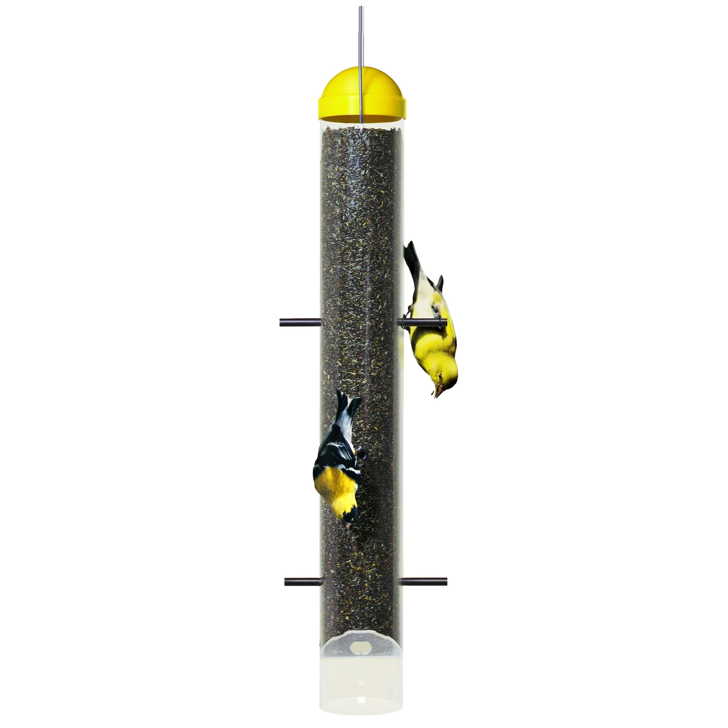 celebrationhardware4976550
