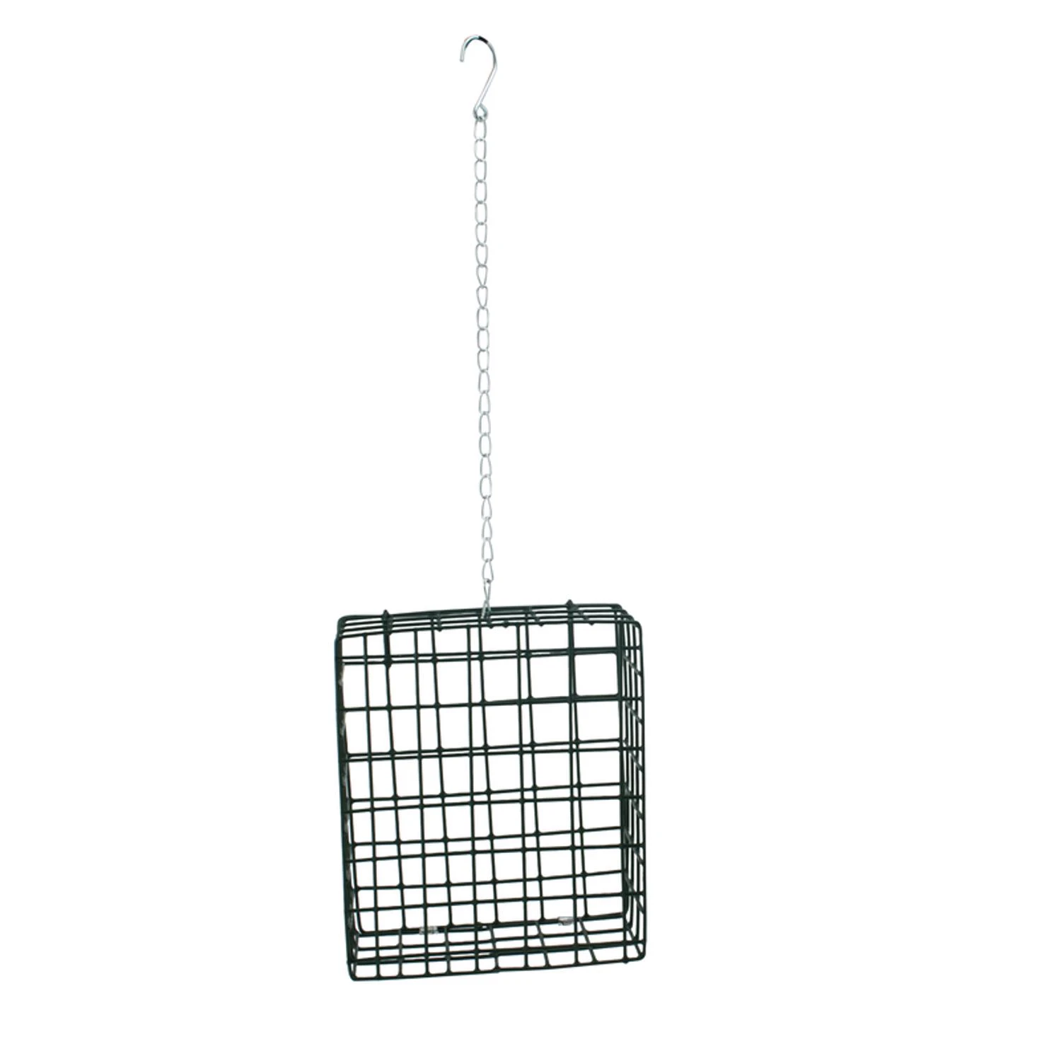 celebrationhardware4989829
