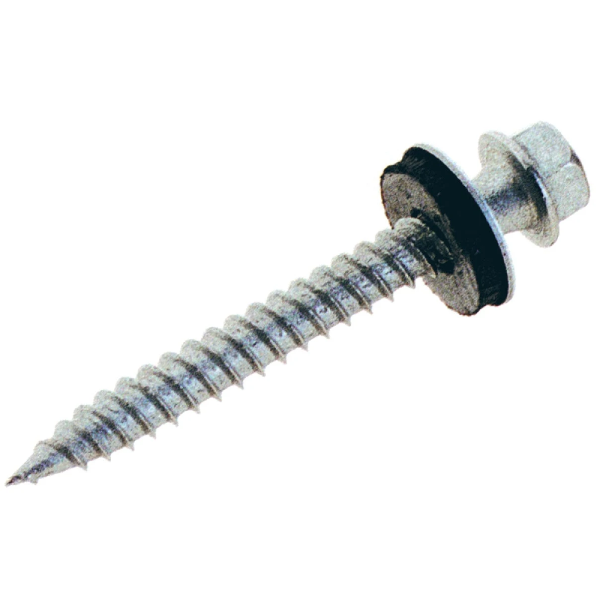 celebrationhardware5219267