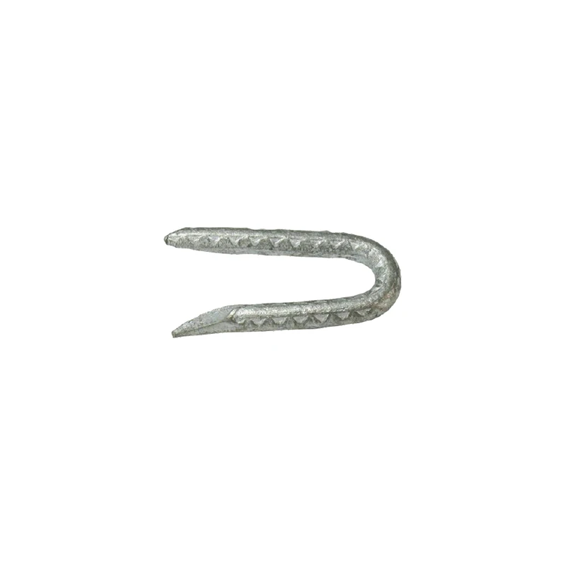 celebrationhardware5219421