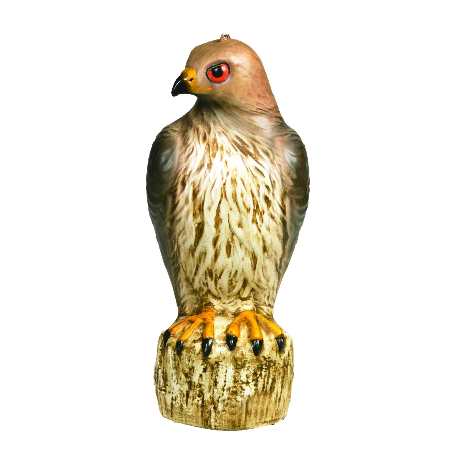 celebrationhardware5290047