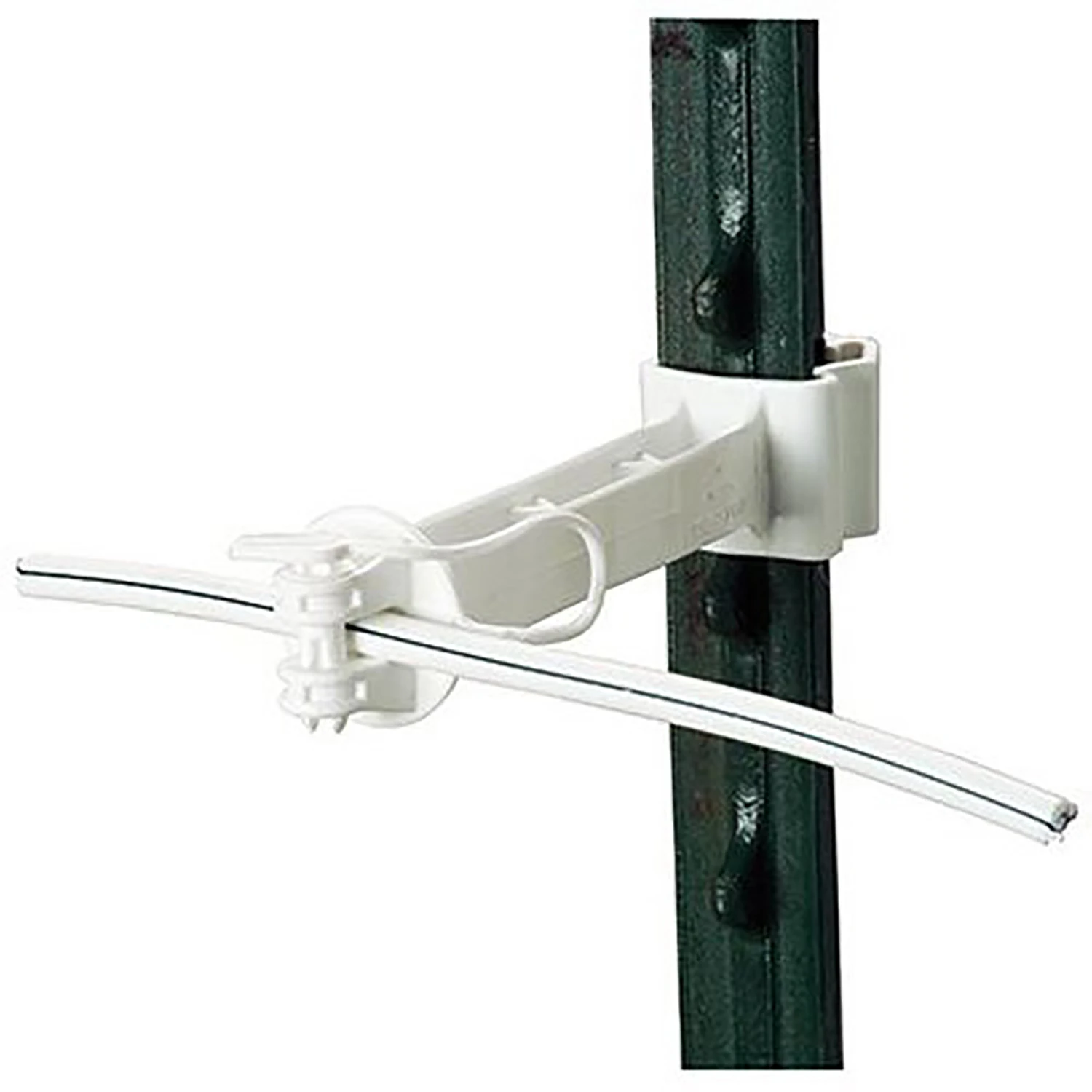 celebrationhardware5339785