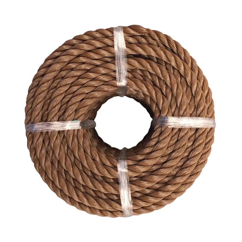 celebrationhardware5403402