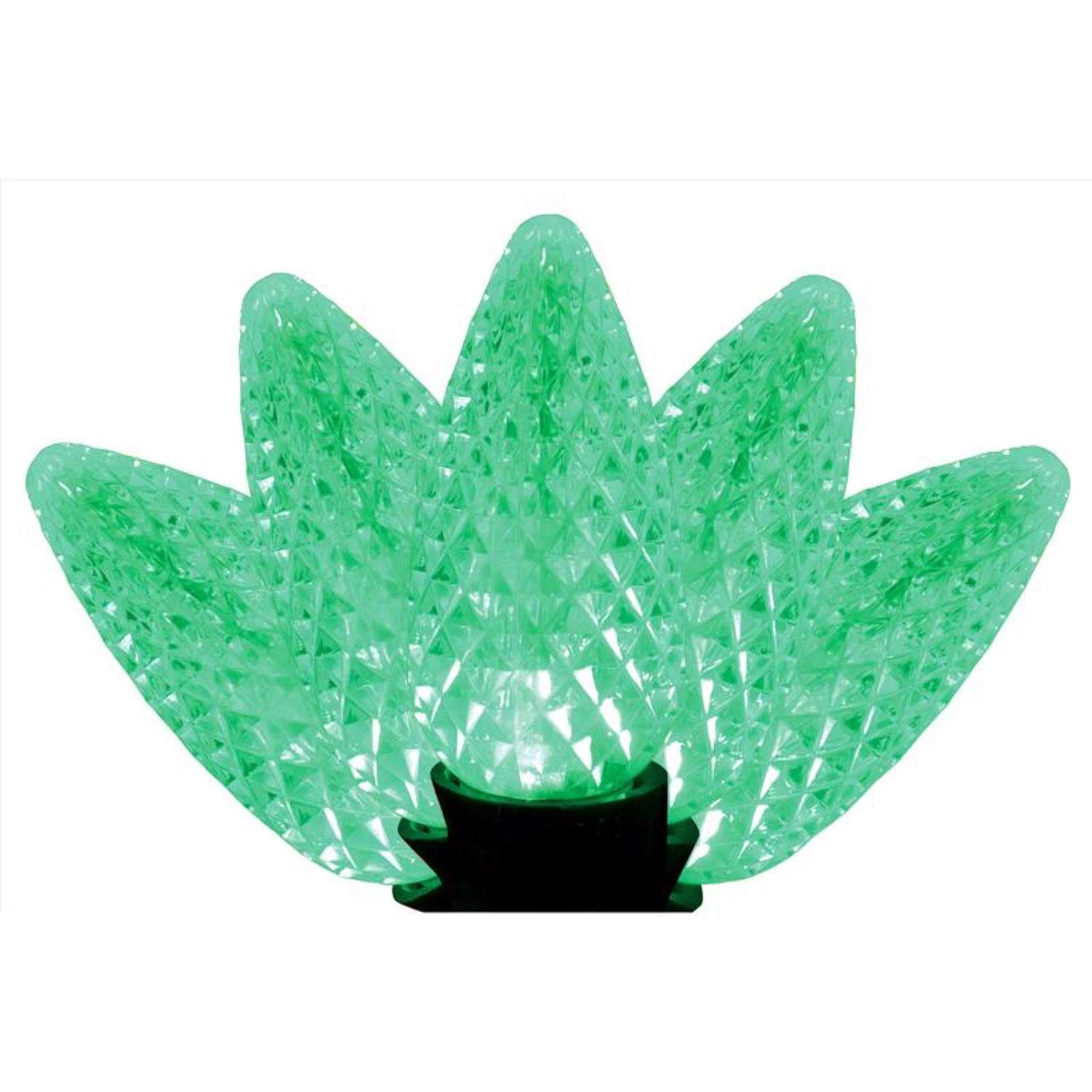 celebrationhardware5417239