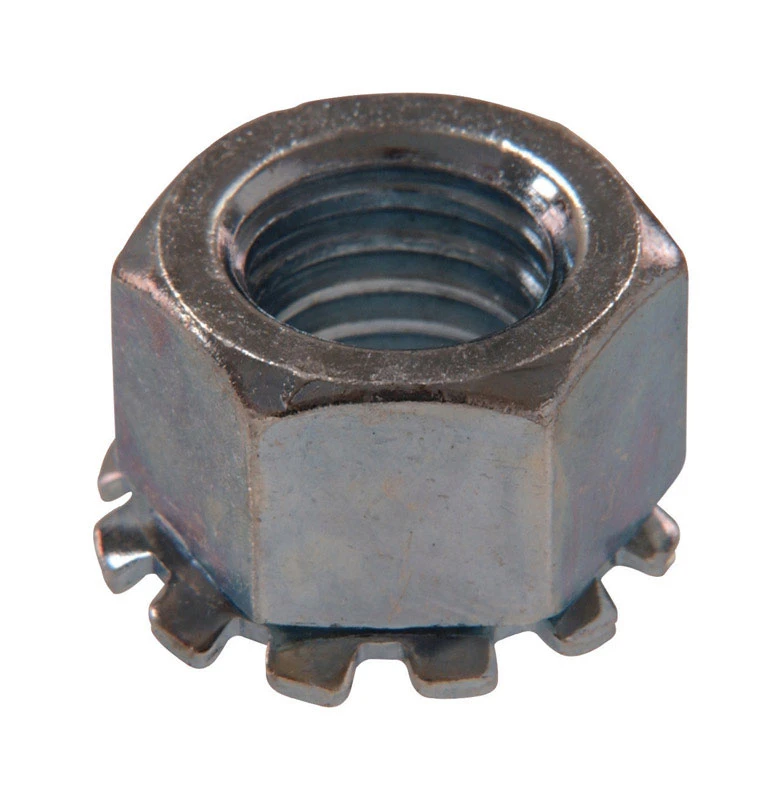 celebrationhardware5522057