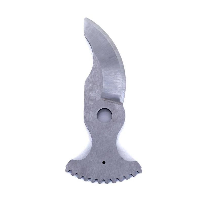 celebrationhardware5524618