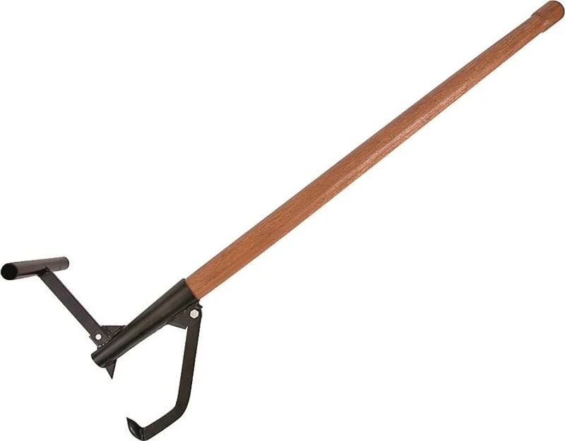 guyslumber3441918