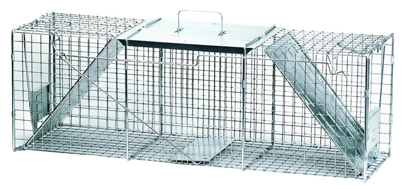 store.clatskaniebuildersupply3635931