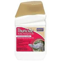 thelumberyard3677009